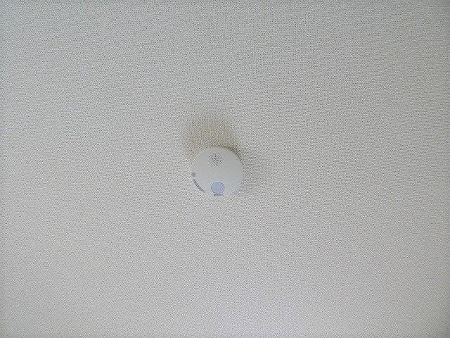 写真は201号室です（参考） ラヴィアンN