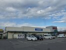 西友 古里店(スーパー)まで970m フォレスタＡ