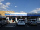 ﾛｰｿﾝ 須坂東横町店(コンビニ)まで210m グランドシティ南横町