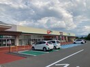 ﾂﾙﾊﾄﾞﾗｯｸﾞ ｱｯﾌﾟﾙﾗｲﾝ店(ドラッグストア)まで2641m アレーズA棟