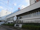 長野市役所(役所)まで4332m ラフィーネまゆみだＣ棟