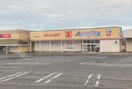 ｱﾒﾘｶﾝﾄﾞﾗｯｸﾞ 新駅南店(ドラッグストア)まで1030m アムール・K