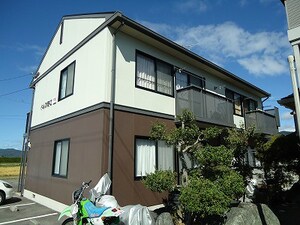 ドルフ　野口