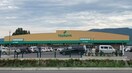 ツルヤ穂高店(スーパー)まで1709m モロズミハイツＡ