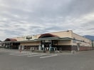 ﾃﾞﾘｼｱ 豊科店(スーパー)まで1069m コーポ翠峰