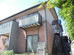 サンライズゴールド