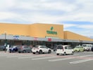 TSURUYA（ﾂﾙﾔ） 池田店(スーパー)まで3705m コスモハイムI