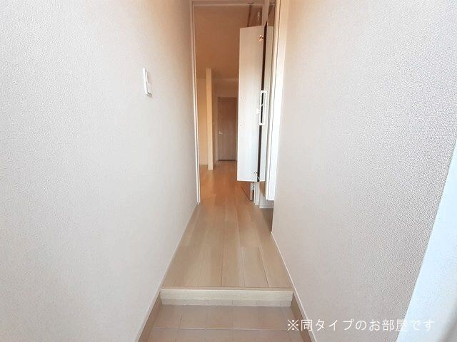  ハイマウンテン