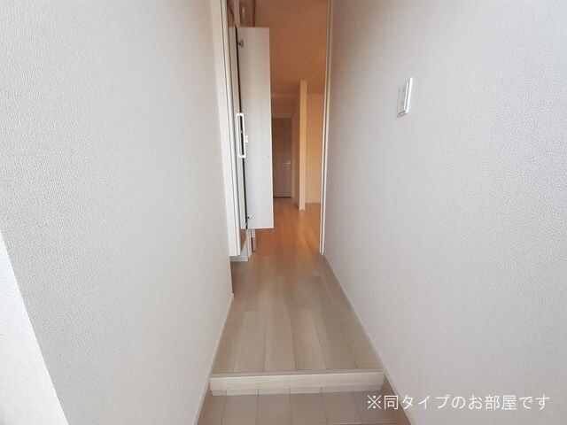  ハイマウンテン