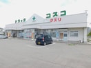 ﾄﾞﾗｯｸﾞｺｽｺ塩尻店(ドラッグストア)まで273m イデア