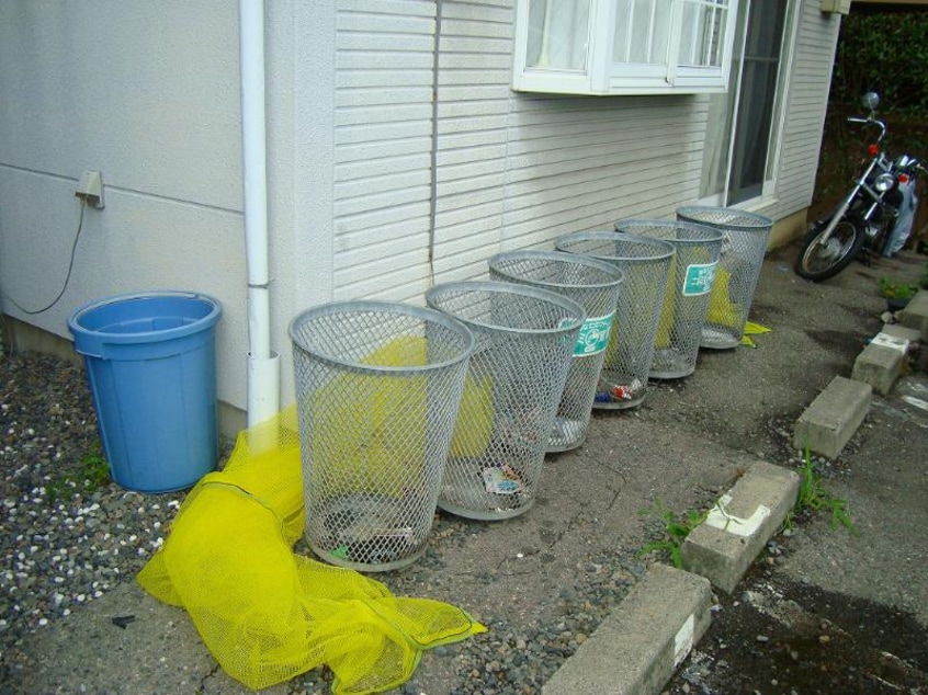  リックエステイト