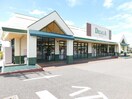 デリシア 吉田原店(スーパー)まで1371m レジデンスオオタ