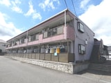 Limpiaベルフラワー藤森