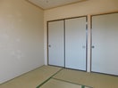  Limpiaベルフラワー藤森