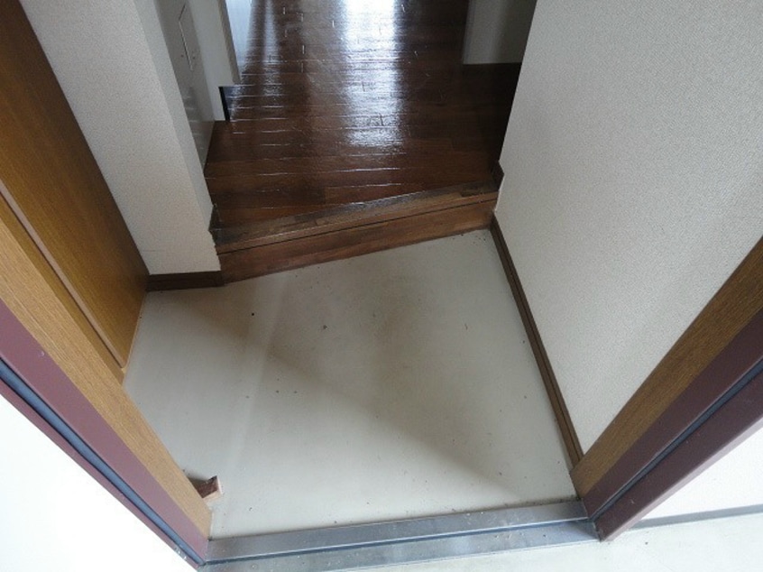  エルピスフタゴ