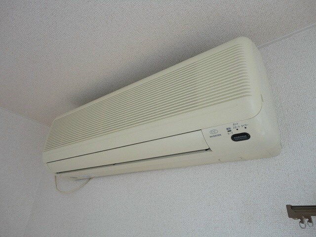  エルピスフタゴ