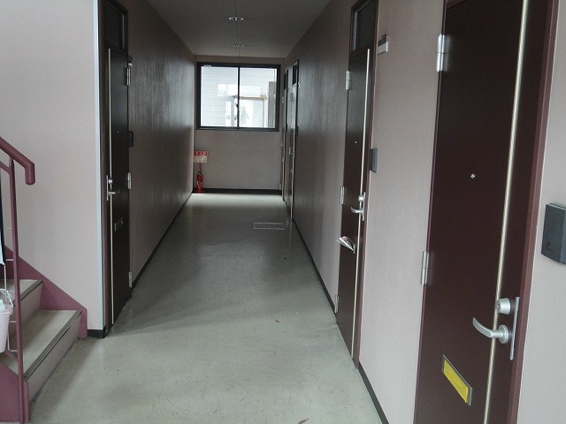  エルピスフタゴ