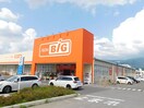 ｻﾞ･ﾋﾞｯｸﾞ 塩尻広丘店(スーパー)まで741m ブランシェ藤森Ｂ