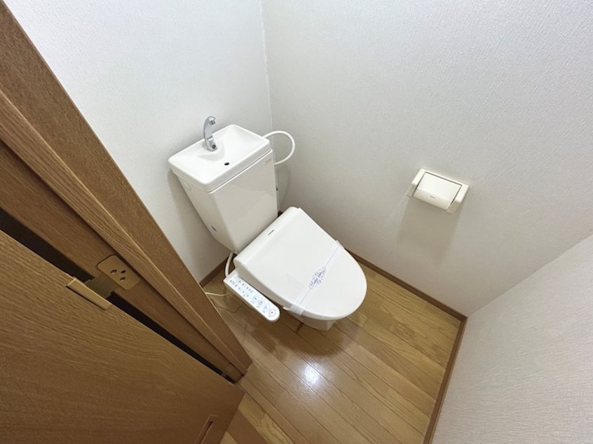  リトルベア並柳