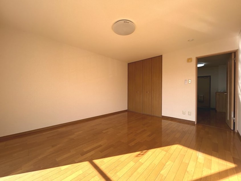  リトルベア並柳