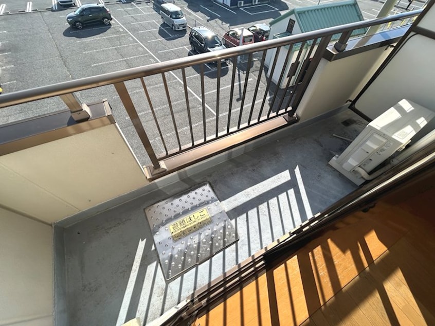  リトルベア並柳