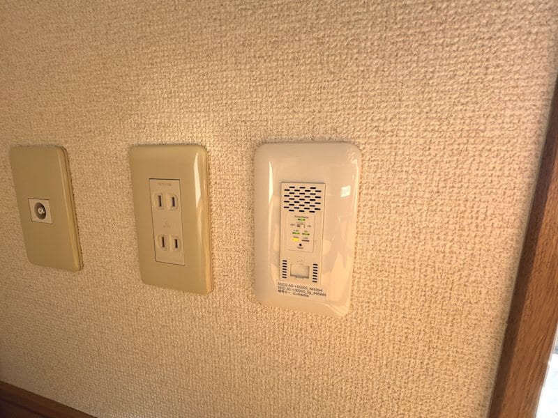  リトルベア並柳