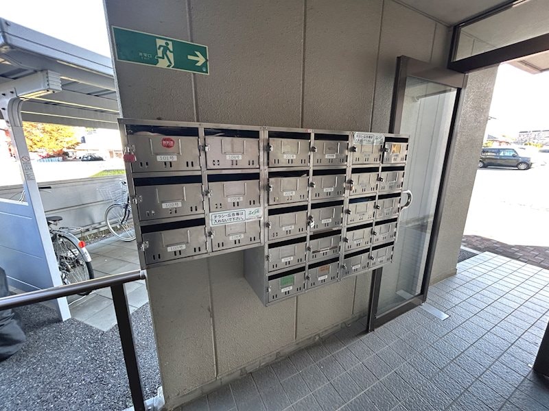  リトルベア並柳