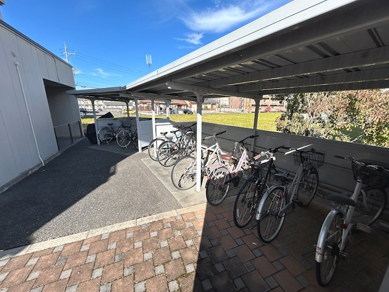  リトルベア並柳