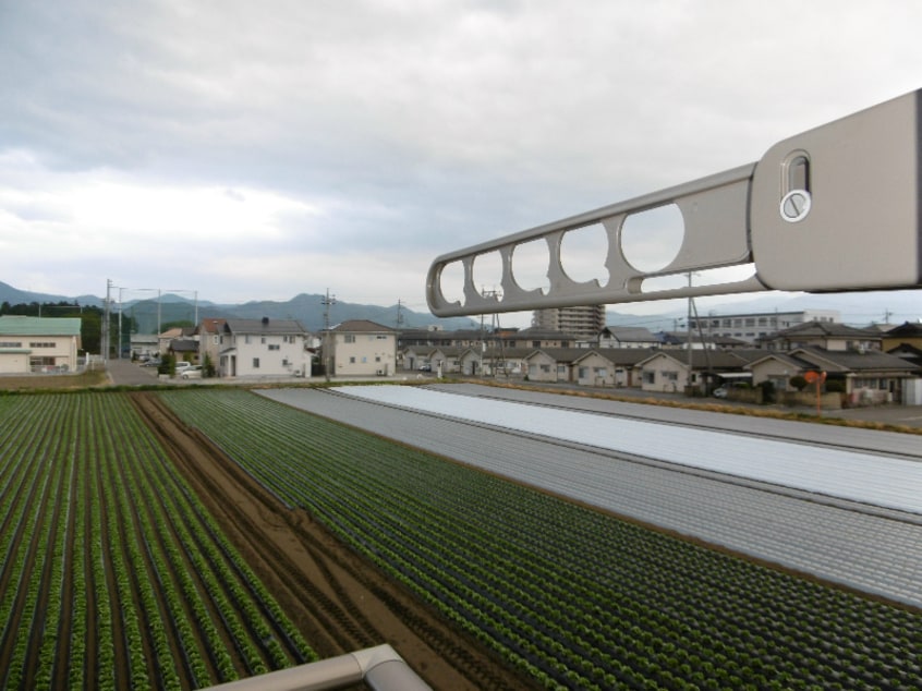  Surplus　Luce　Smile