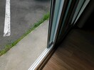  ブルームまりもB