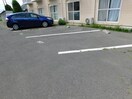  ブルームまりもB