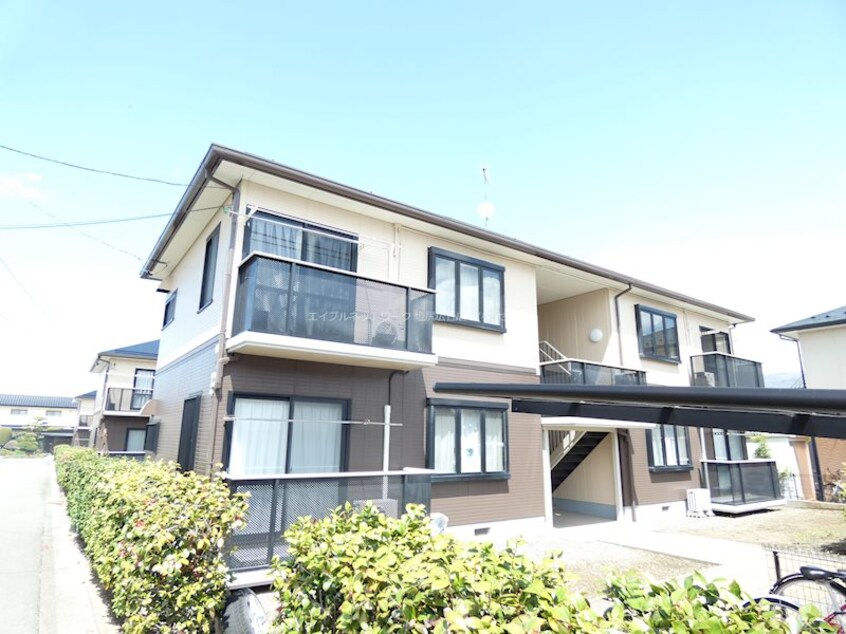  ディアスOANA　Ｄ