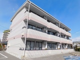 Limpia桔梗