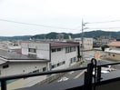  Limpia桔梗