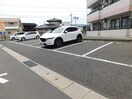  Limpia桔梗