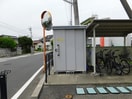  Limpia桔梗