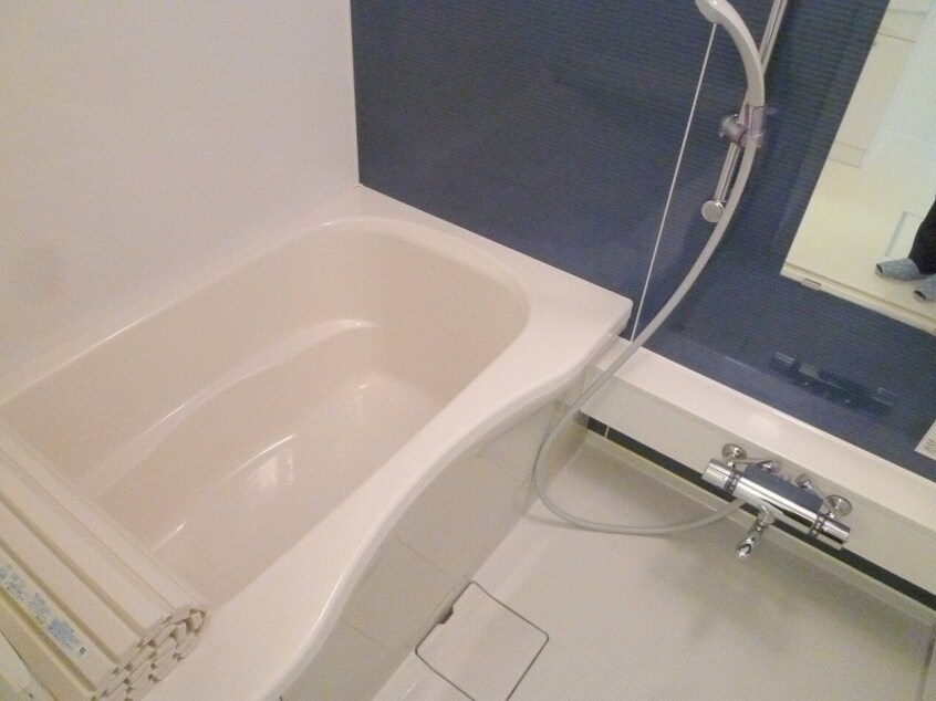  シャーメゾン　フェリス