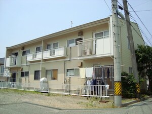 タウニィ樹里Ｂ