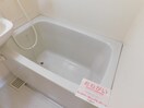  ホワイトローズA
