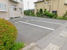  ホワイトローズA