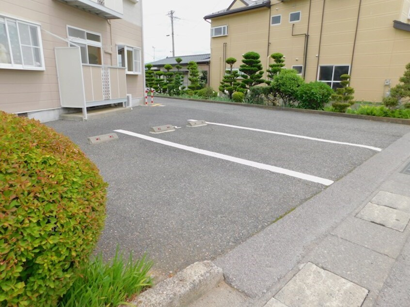  ホワイトローズA