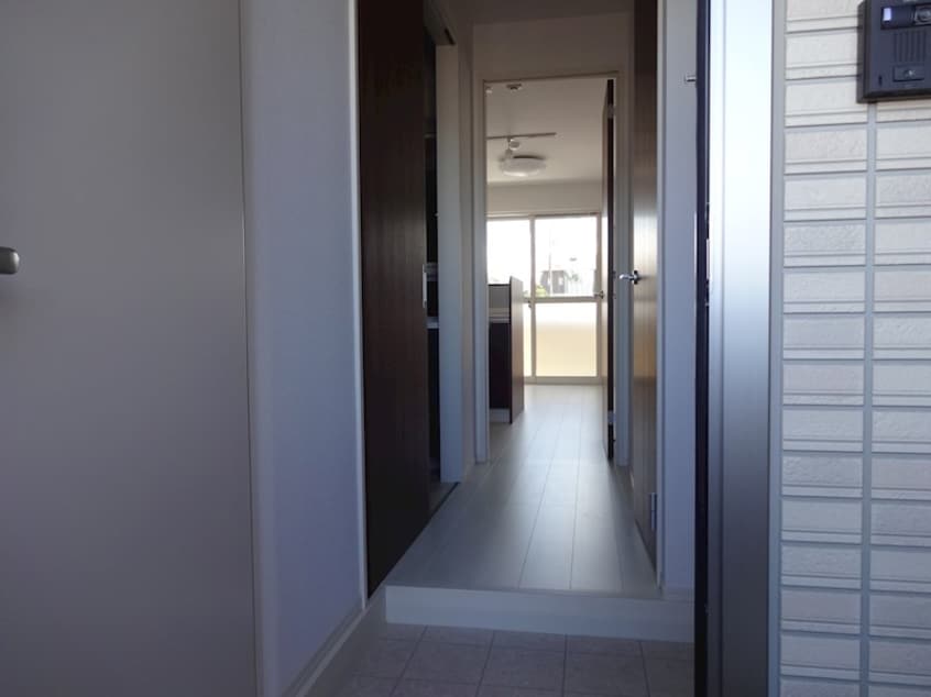  プランドール並柳