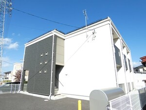 カミーノ