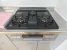  エルシャンクIII