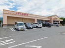 ｸｽﾘのとをしや薬局 広丘野村店(ドラッグストア)まで224m エクセル三村