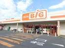ｲｵﾝﾀｳﾝ松本村井(スーパー)まで1298m DSハウス1