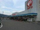 ｺﾒﾘﾎｰﾑｾﾝﾀｰ 箕輪店(電気量販店/ホームセンター)まで1830m エールマンション