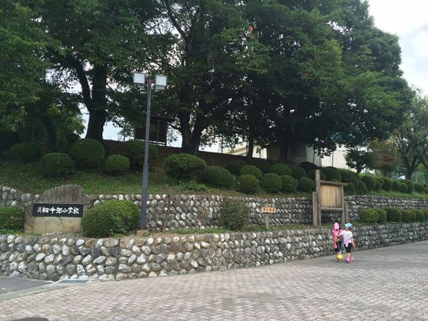 箕輪町立箕輪中部小学校(小学校)まで1555m 飯田線（長野県内）/伊那松島駅 徒歩21分 1階 築31年