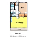 サープラスライフの間取図