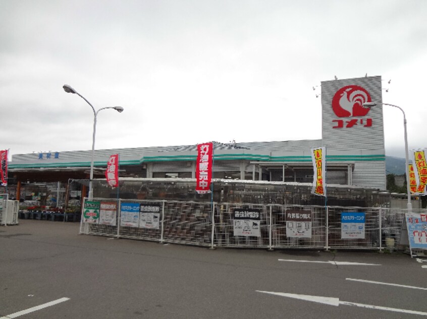 ｺﾒﾘﾊｰﾄﾞｱﾝﾄﾞｸﾞﾘｰﾝ辰野店(電気量販店/ホームセンター)まで835m サンライズ